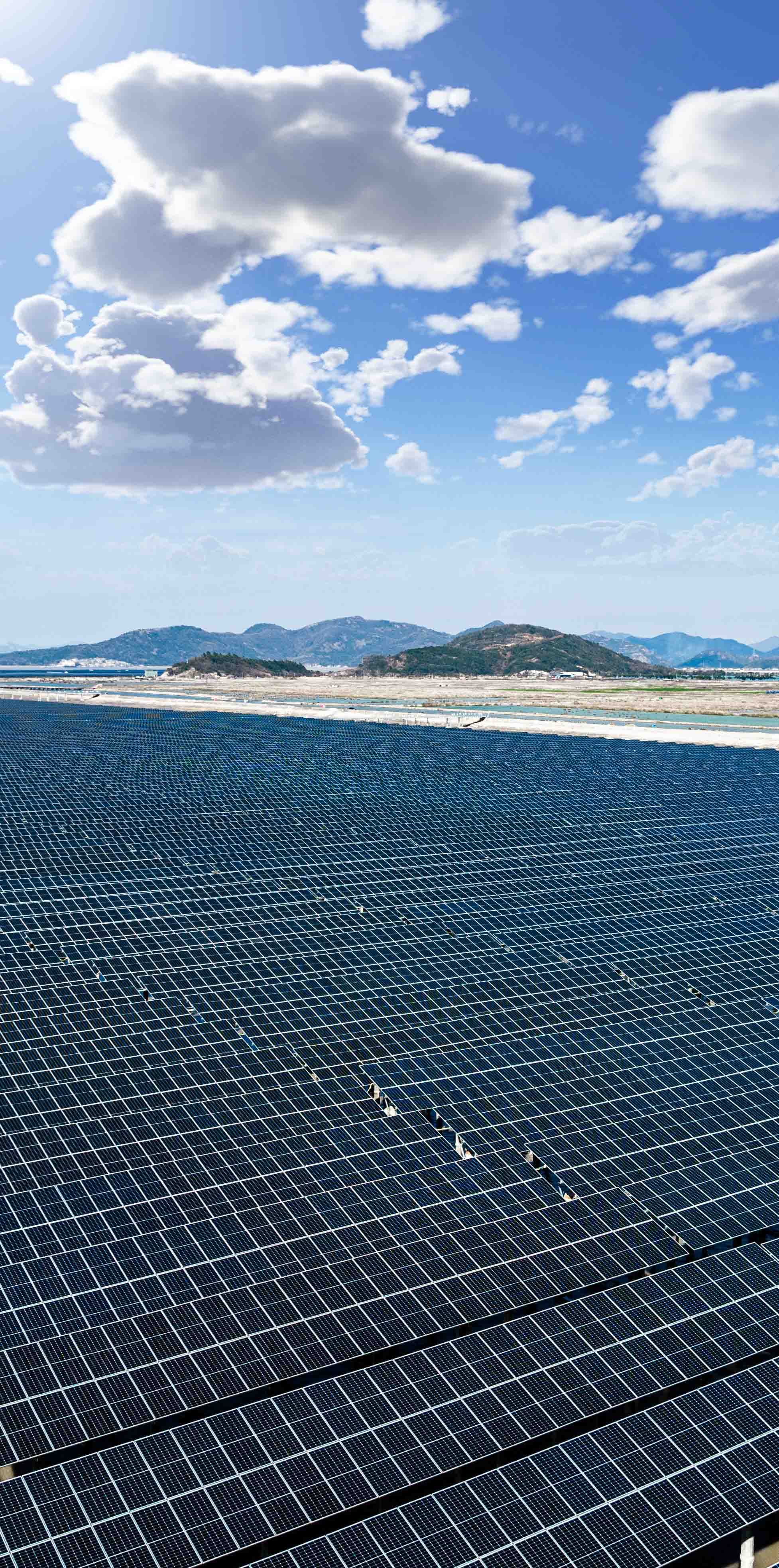 Utility-Scale Solar
